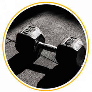 Gym & Wellness
